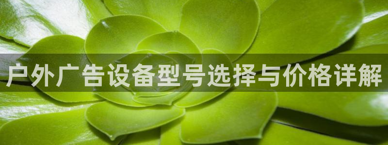 杏宇平台提现为什么这么久呢：户外广告设备型号选择与价格详解