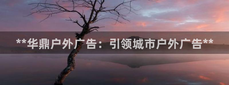 杏宇平台登陆：**华鼎户外广告：引领城市