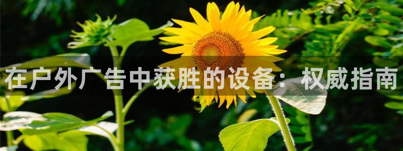 杏宇平台代理多少钱：在户外广告中获胜的设备：权威指南