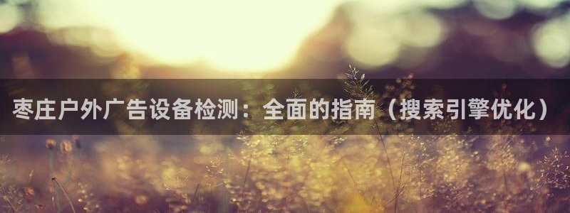 杏宇平台总代理是谁：枣庄户外广告设备检测：全面的指南（搜索引擎优化）
