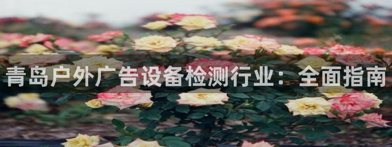 杏宇平台是什么：青岛户外广告设备检测行业