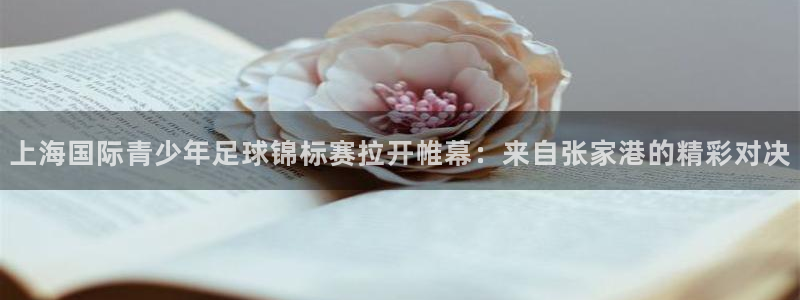 必一运动bsport体育：上海国际青少年足球锦标赛拉开帷幕：来自张家港的精彩对决