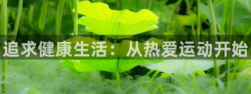 必一运动app：追求健康生活：从热爱运动开始