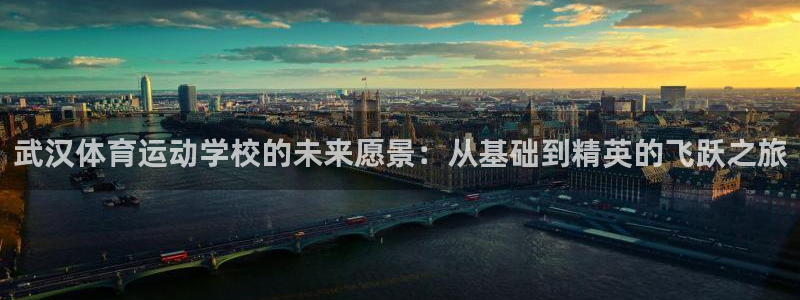 必一运动体育官网：武汉体育运动学校的未来愿景：从基础到精英的飞跃之旅