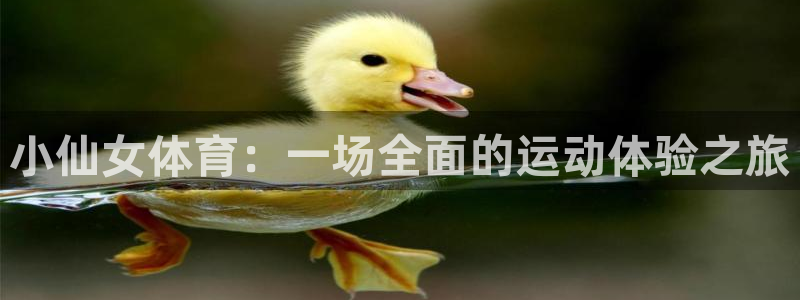b体育必一运动官网：小仙女体育：一场全面的运动体验之旅