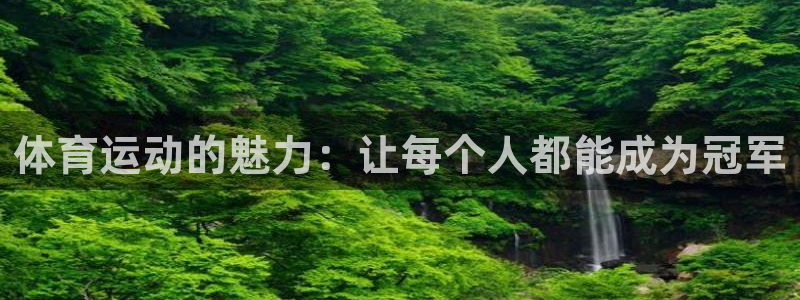 bsports官网 必一运动：体育运动的魅力：让每个人都能成为冠军