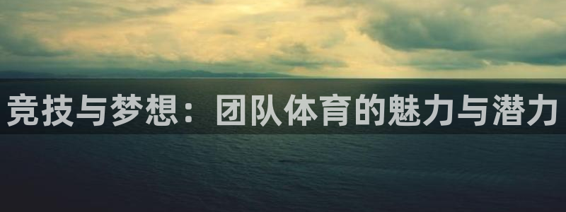 必一运动体育官网：竞技与梦想：团队体育的魅力与潜力