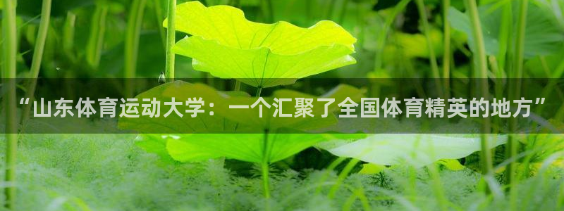 必一运动体育官网入口：“山东体育运动大学：一个汇聚了全国体育精英的地方”
