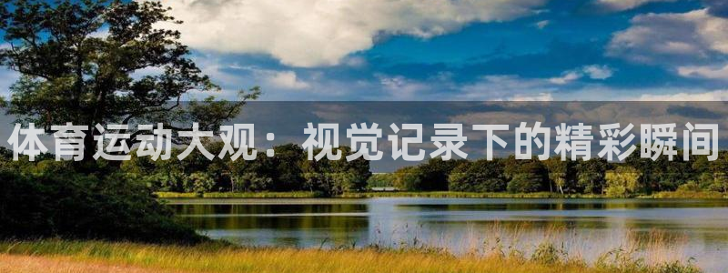 必一运动：体育运动大观：视觉记录下的精彩瞬间