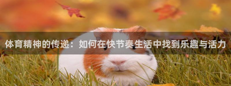 必一运动