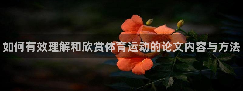 必一运动app