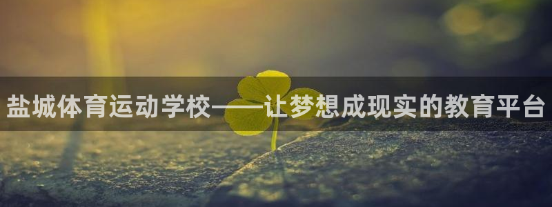 必一运动bsport体育：盐城体育运动学校——让梦想成现实的教育平台