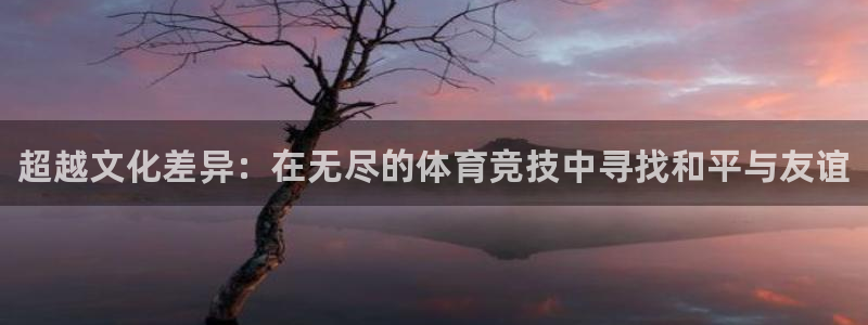 必一运动app：超越文化差异：在无尽的体育竞技中寻找和平与友谊