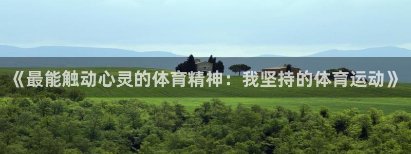 bsports官网 必一运动