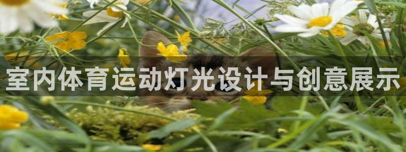 必一运动体育：室内体育运动灯光设计与创意展示