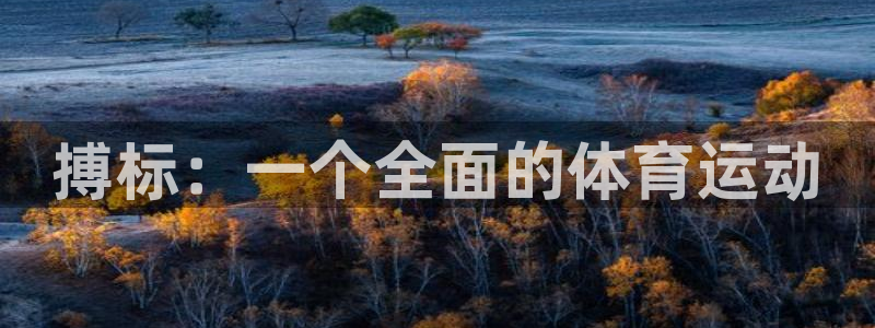 bsports官网 必一运动：搏标：一个全面的体育运动