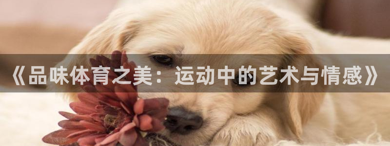 b体育必一运动官网：《品味体育之美：运动中的艺术与情感》