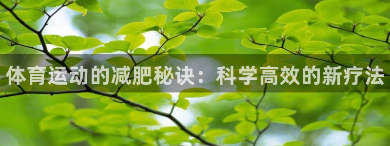 bsports官网 必一运动：体育运动的减肥秘诀：科学高效的新疗法