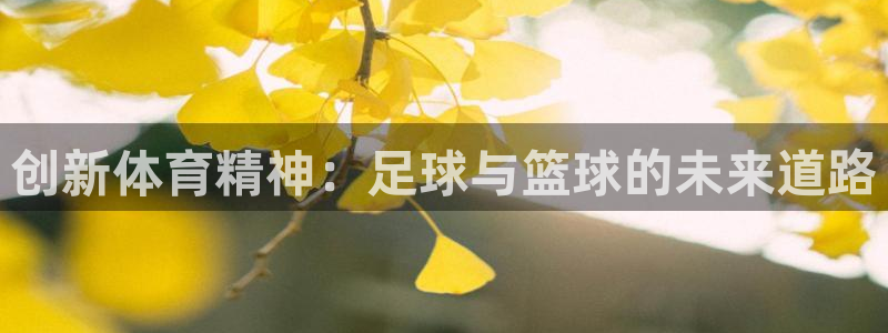 必一运动体育官网：创新体育精神：足球与篮球的未来道路