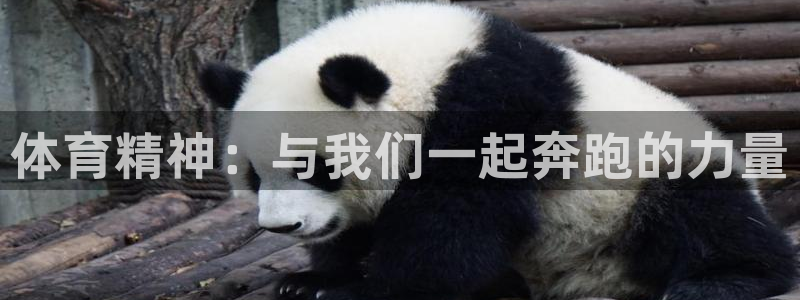 必一运动体育官网入口：体育精神：与我们一起奔跑的力量